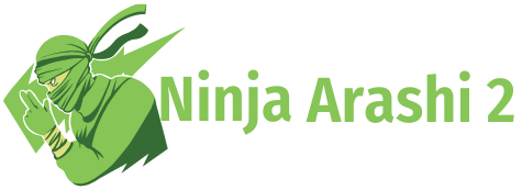 Ninja Arashi 2