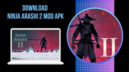 Download Ninja Arashi 2 Mod APK