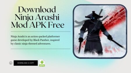 Download Ninja Arashi Mod APK Free