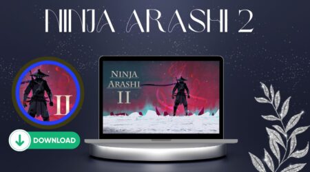 Ninja Arashi 2